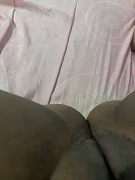 Bellamorais's cam snapshot