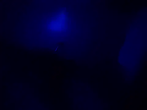 anonymus9006's cam snapshot