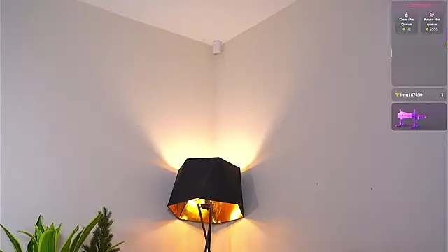 VallieBrandwein's cam snapshot