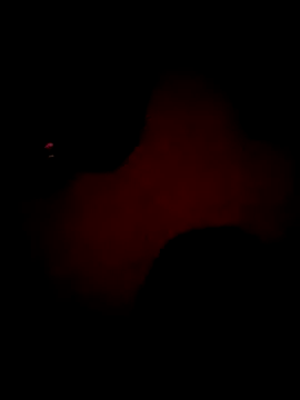 xx_priti live sex cam