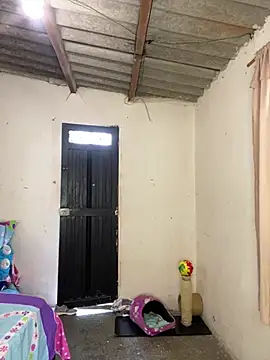 AlexaWarner live sex cam