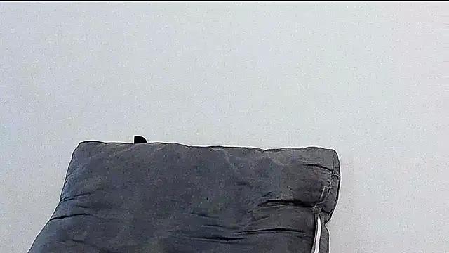 Bray_Kevin live sex cam