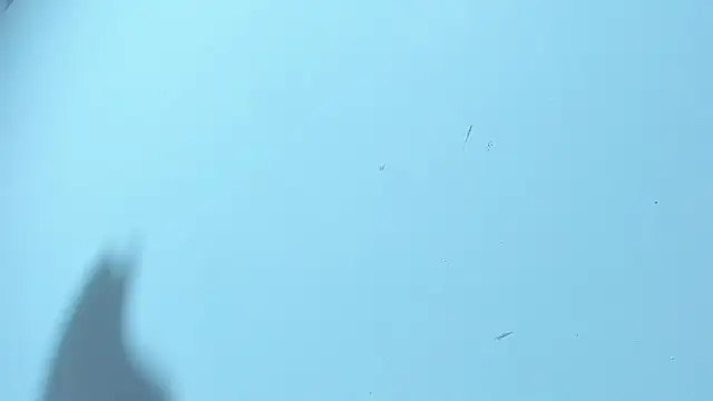 Master_Sam_'s cam snapshot