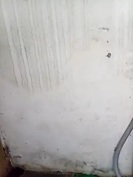 SexualPleasureXoXo live sex cam