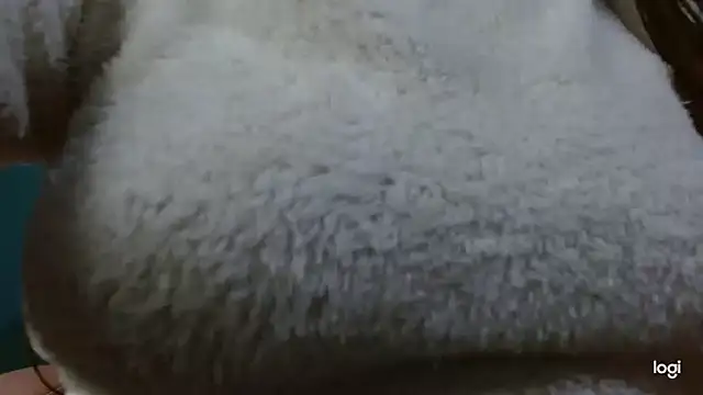 kaybabyhot's cam snapshot