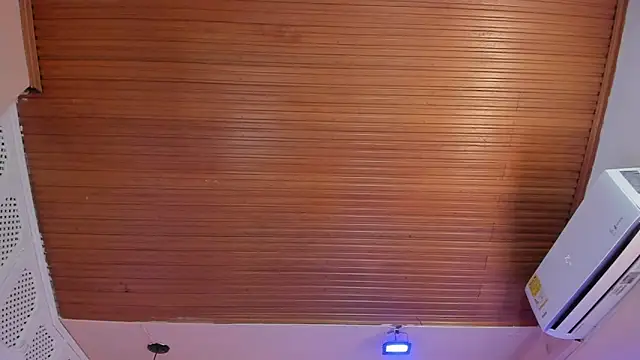 viiolett_lee's cam snapshot