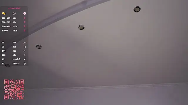 Lanenger's cam snapshot