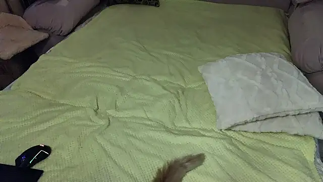 Vivian_Davis live sex cam