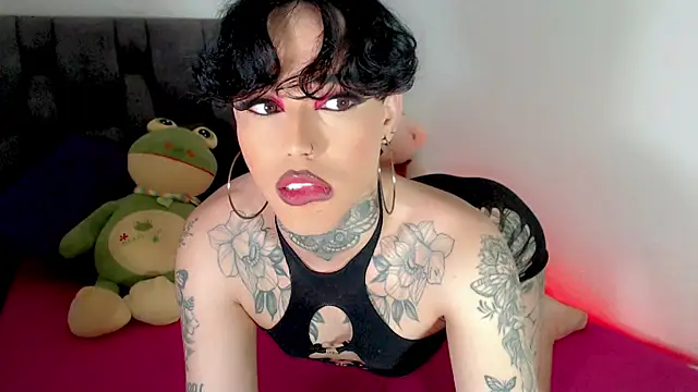 little_star_porn live sex cam