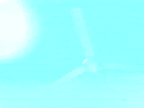 Kitkat_00 live sex cam