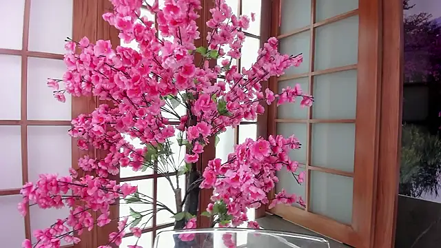 foxy__mia's cam snapshot