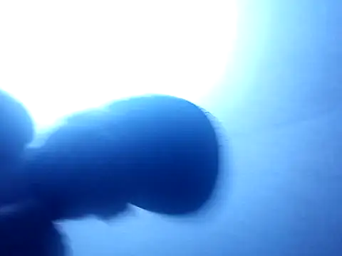 Blkstylion's cam snapshot