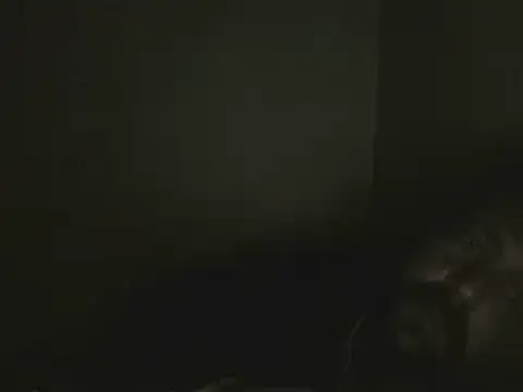 elpoop7305's cam snapshot