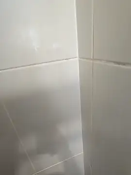 Kyle247@xh's cam snapshot