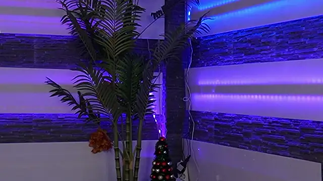 Miss_Denisse's cam snapshot