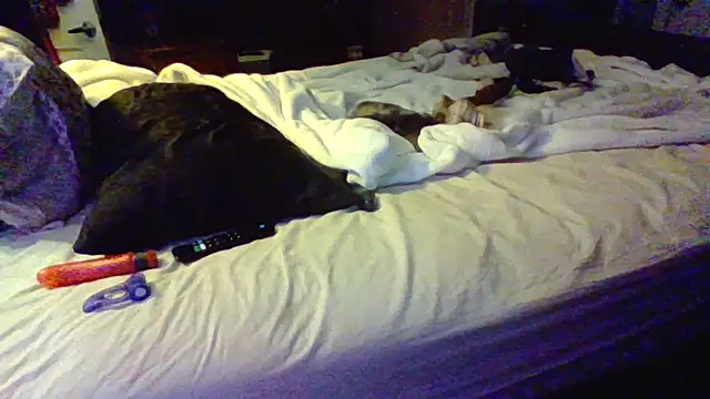 ThatPlatinumD live sex cam