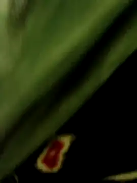 sexychutxxx7 live sex cam