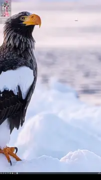 _Bonnie__'s cam snapshot