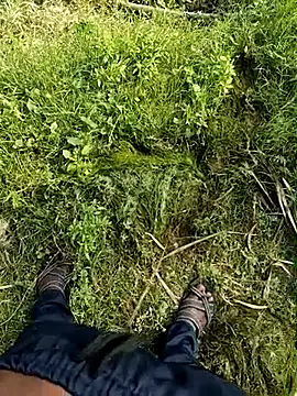 dolphiinn live sex cam