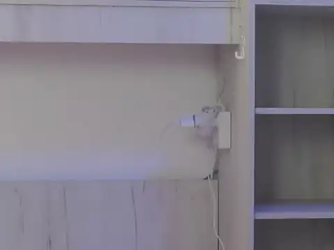 MayaMadison's cam snapshot