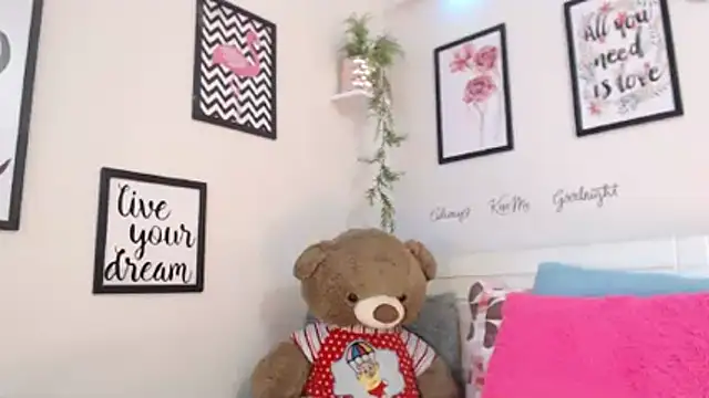 Joliet's cam snapshot