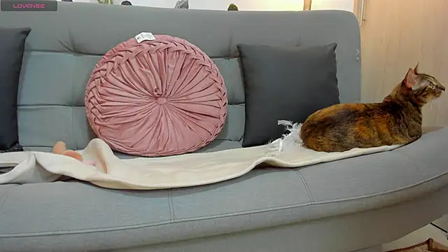 roxana_sinsx's cam snapshot