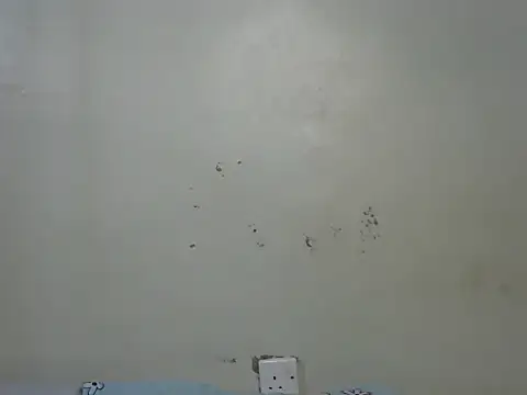 Rasta_tattooed's cam snapshot