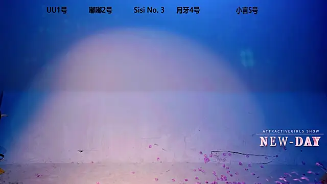 NEW-DAY live sex cam