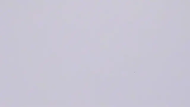 tiven-prince's cam snapshot