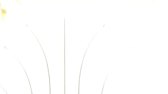 bonieklent's cam snapshot