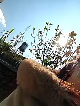 Jooj-'s cam snapshot