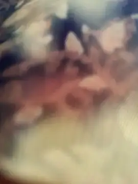 Queen_chayna's cam snapshot