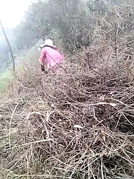 galaxy898's cam snapshot