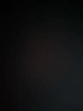 SL_BEAR live sex cam