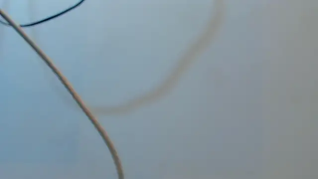 Jacob_Benelli live sex cam