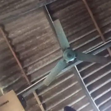 senguptadiya248 live sex cam