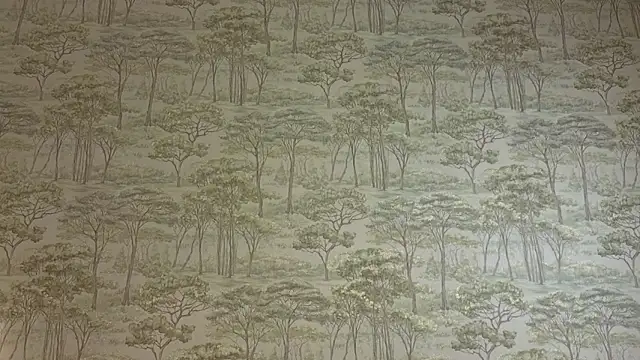 CarmanHenning's cam snapshot