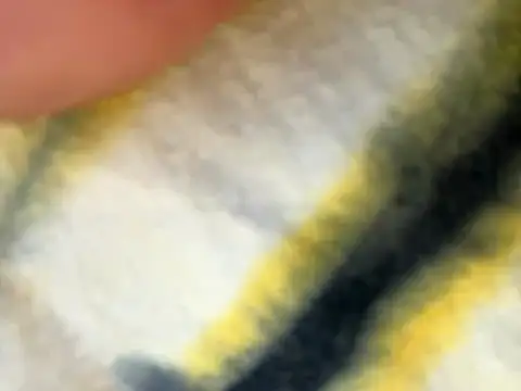 Nastygirl678's cam snapshot