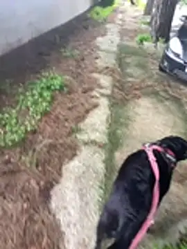 ANONIMO7735's cam snapshot