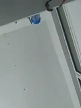 pikalindaxx live sex cam