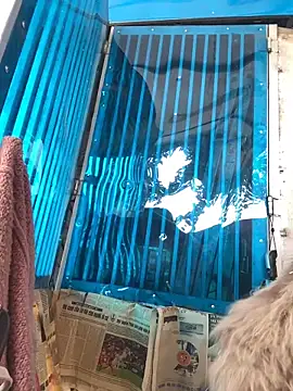 Gina999's cam snapshot