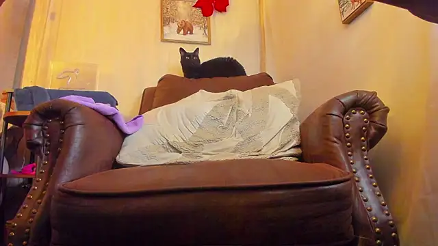 danidollxxx live sex cam