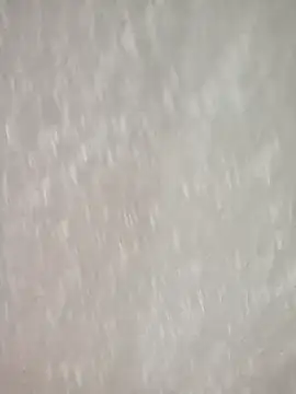 UsualSummer2 live sex cam