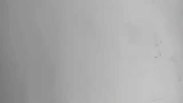 Skarleth_queen live sex cam