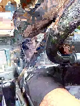 huykkk99 live sex cam