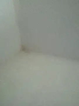 Juliocabarero's cam snapshot