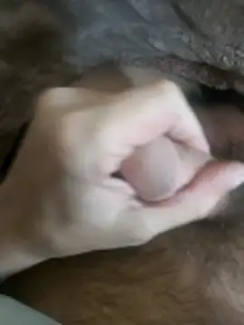 maxxx20202020 live sex cam