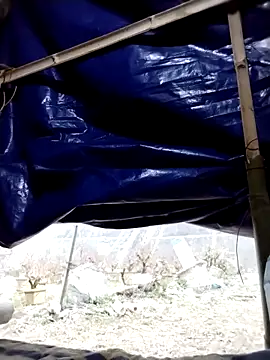 emini-xx's cam snapshot