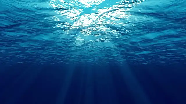 MrChuckDailyXXX live sex cam