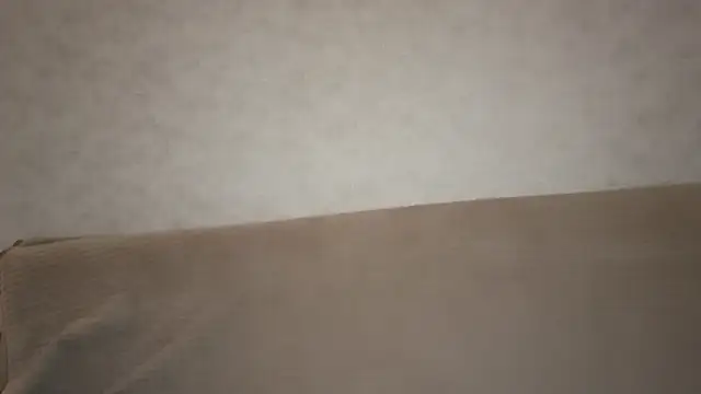 ModestLily's cam snapshot